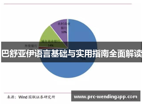 巴舒亚伊语言基础与实用指南全面解读