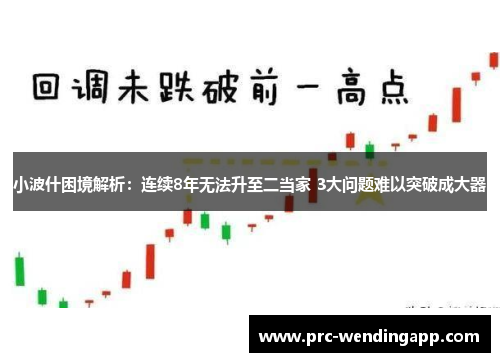 小波什困境解析:连续8年无法升至二当家 3大问题难以突破成大器 小波什困境解析:连续8年无法升至二当家 3大问题难以突破成大器