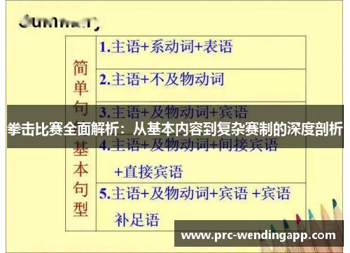 拳击比赛全面解析：从基本内容到复杂赛制的深度剖析