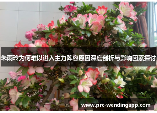 朱雨玲为何难以进入主力阵容原因深度剖析与影响因素探讨