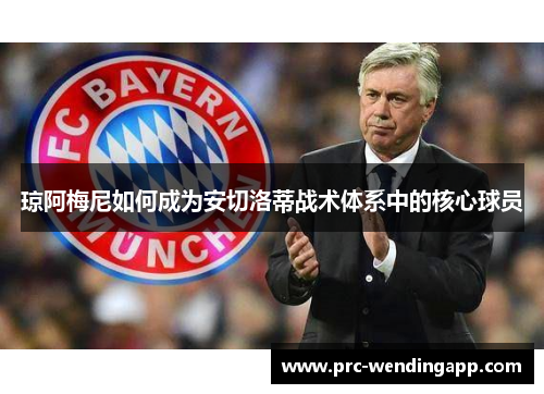 琼阿梅尼如何成为安切洛蒂战术体系中的核心球员 琼阿梅尼如何成为安切洛蒂战术体系中的核心球员