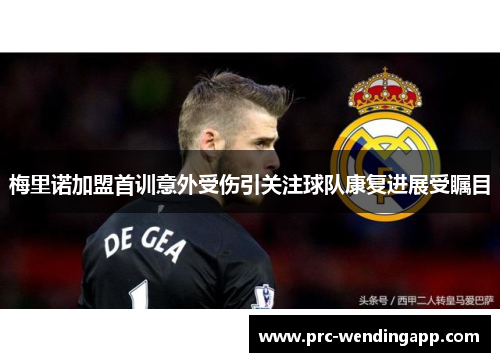 梅里诺加盟首训意外受伤引关注球队康复进展受瞩目 梅里诺加盟首训意外受伤引关注球队康复进展受瞩目