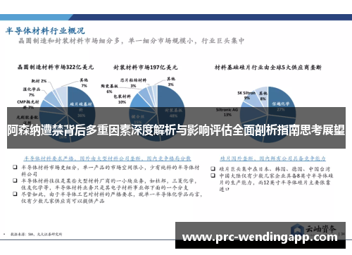 阿森纳遭禁背后多重因素深度解析与影响评估全面剖析指南思考展望