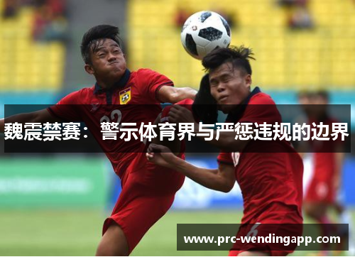 魏震禁赛：警示体育界与严惩违规的边界
