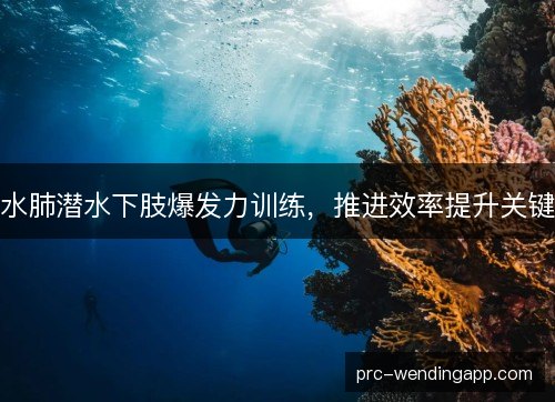 水肺潜水下肢爆发力训练，推进效率提升关键